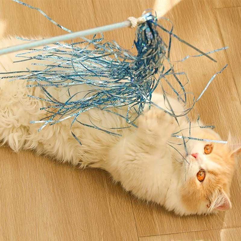 Designated Daily Play Sessions
