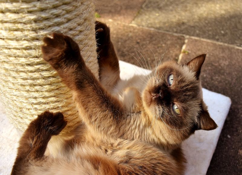 Destructive Scratching
