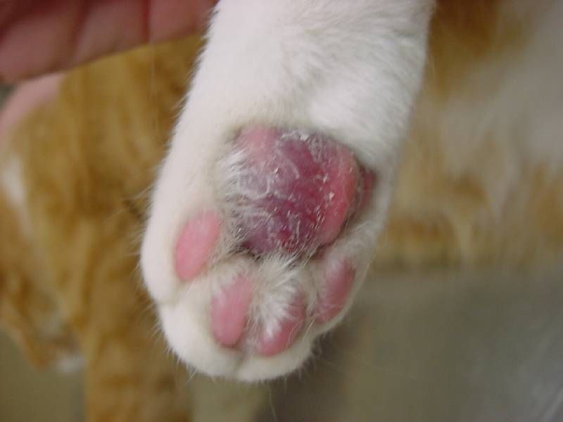 Discoloration or Foul Odor