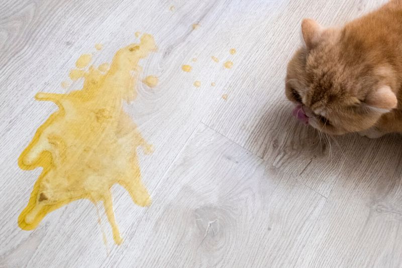 Don’t Induce Vomiting Unless Instructed