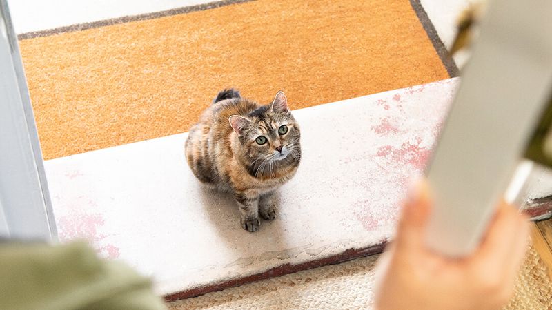 Door-Blocking Maneuvers