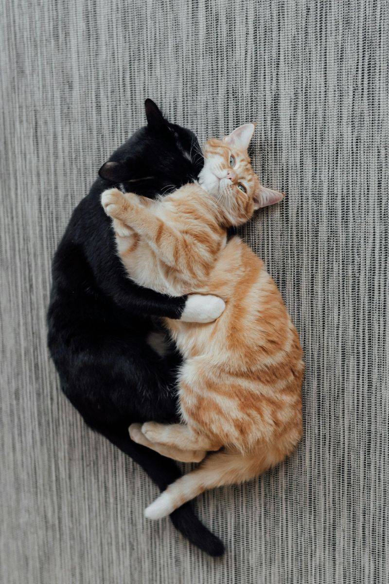 Double the Affection and Unique Personalities