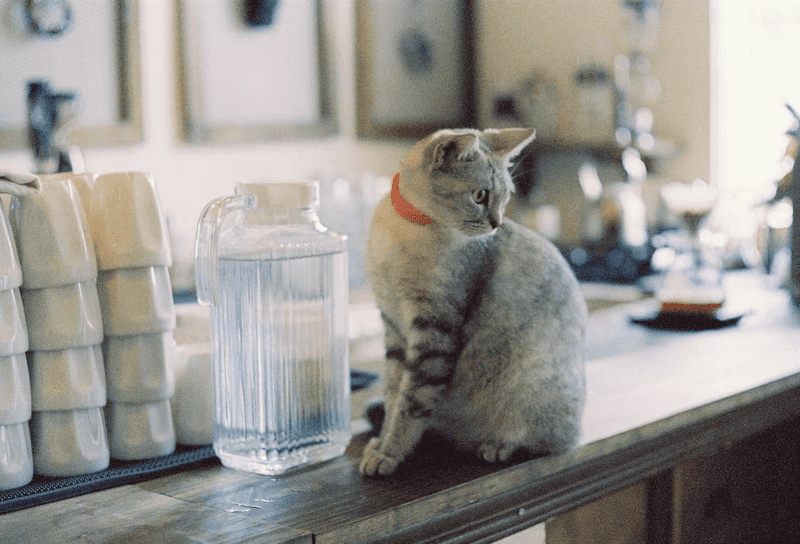 Drinking Glasses