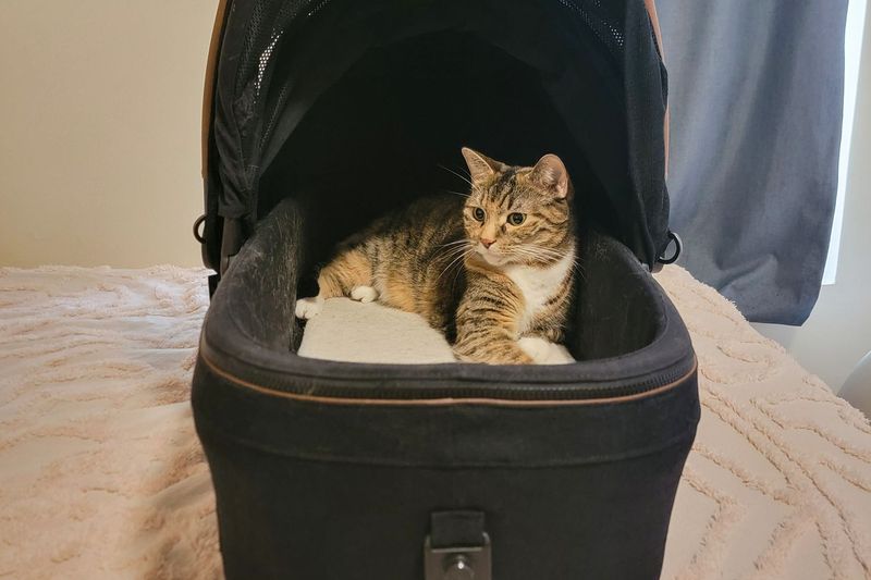Easy to Handle and Transport