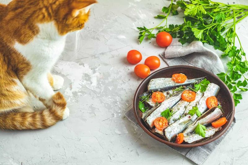 Egg & Sardine Skin Saver