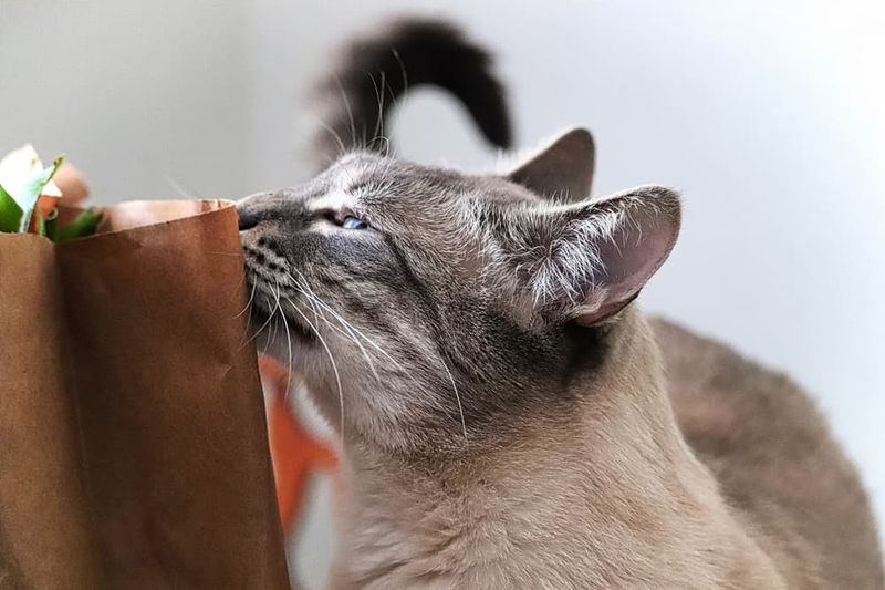 Ensure Your Home Smells Familiar