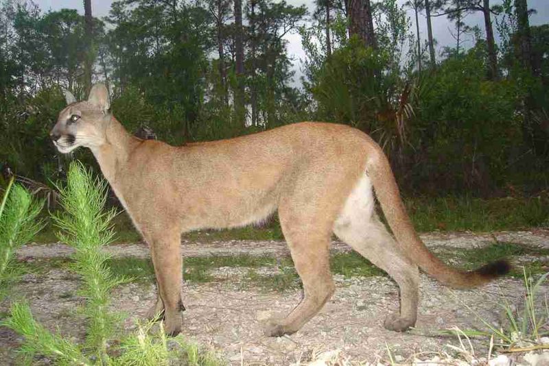 Everglades National Park
