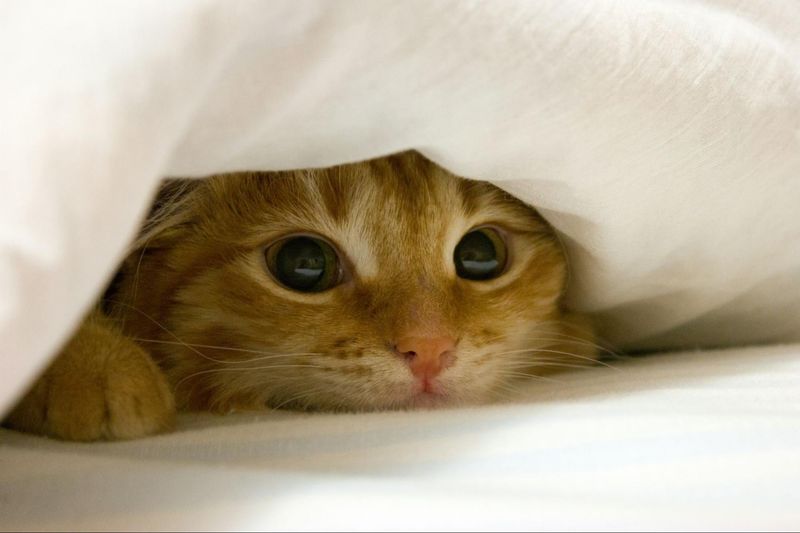 Excessive Hiding