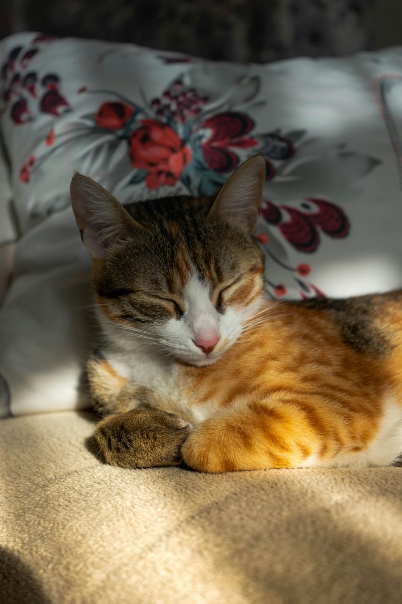 Excessive Sleeping Beyond Normal