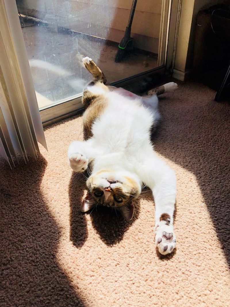 Exposed Belly Flash
