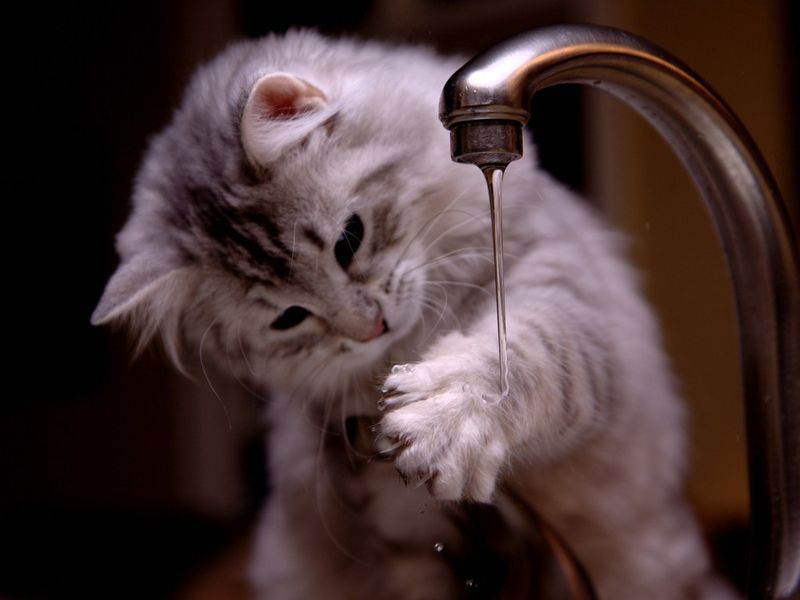 Fascination with Running Water