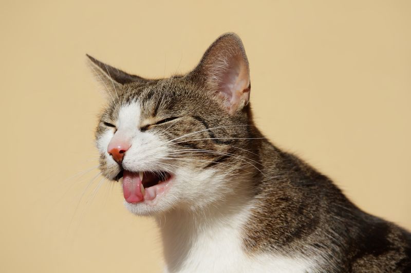 Frequent Hairballs