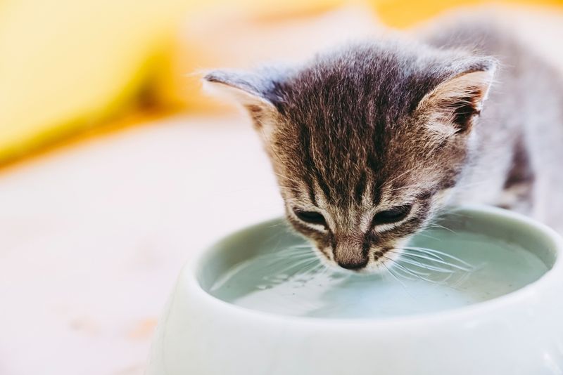 Fresh, Clean Water