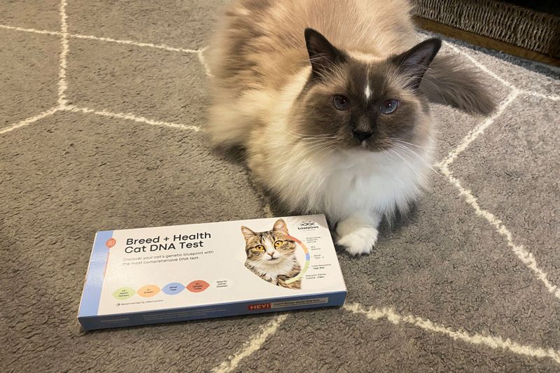Genetic Testing