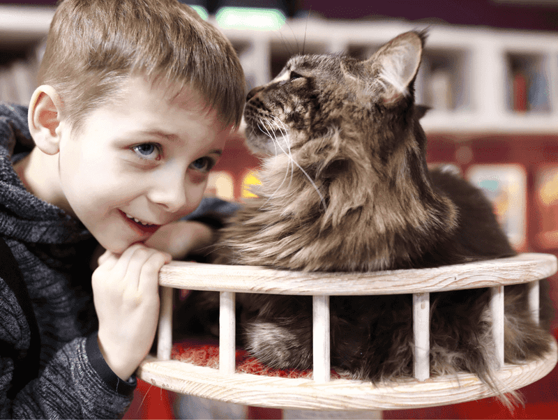 Gentle Giants With Children