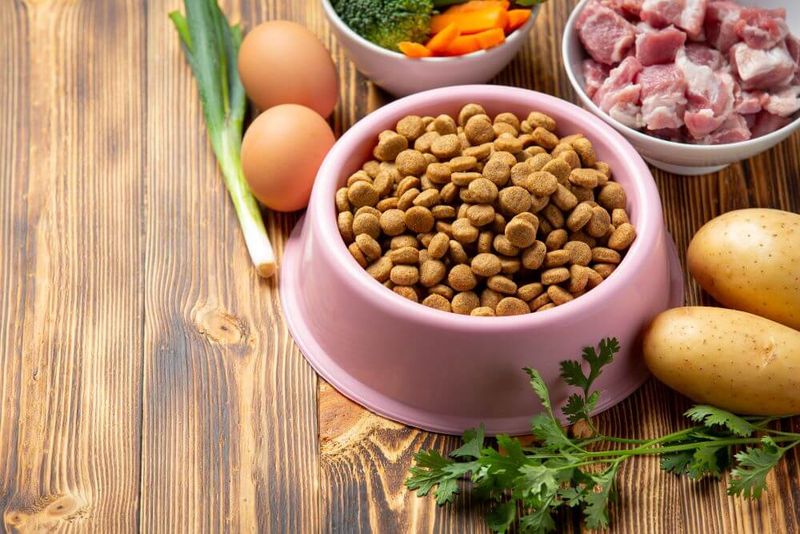 Gourmet Nutrition Options