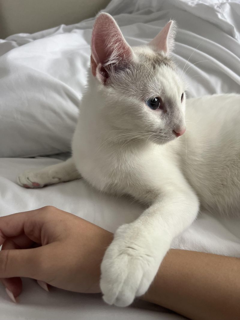 Grooming Your Hair or Hand