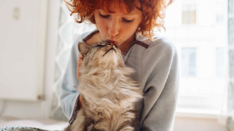 Have a Cat Chat