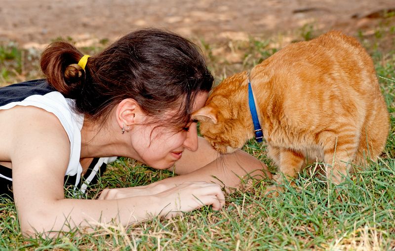 Head-Butting Affection