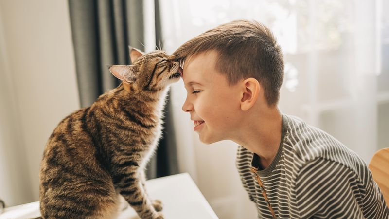 Head-Butting Marks You As 'Their Human'