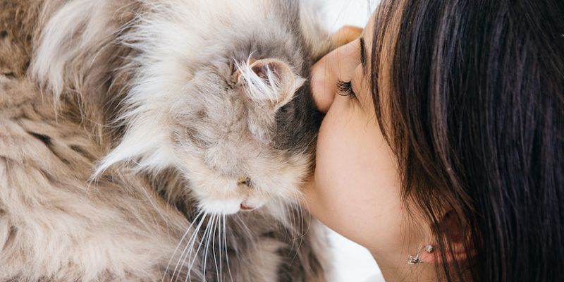 Headbutting and Cheek Rubbing Against You