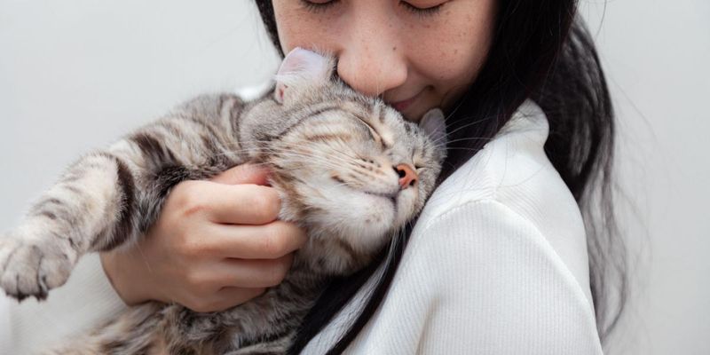 Headbutting and Face Rubbing