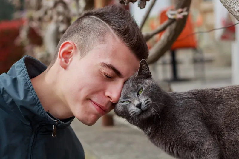 Headbutting and Face Rubbing