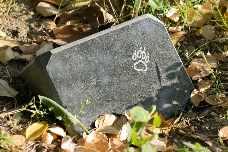 Health Hazards From Improper Burial
