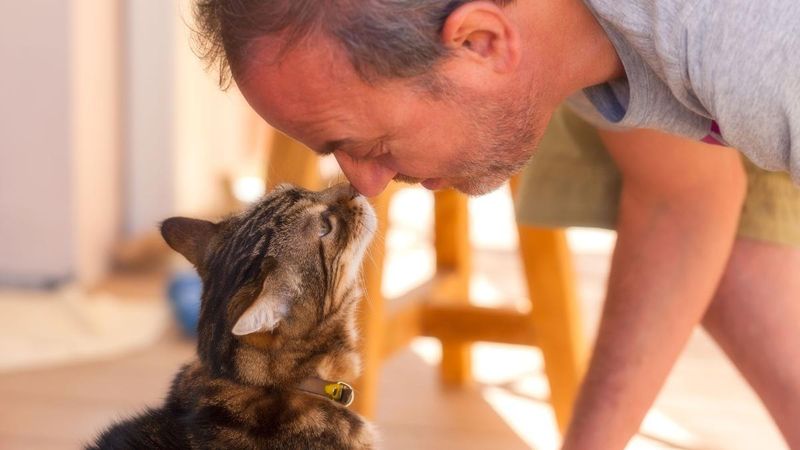 Heart-Melting Affection Emerges