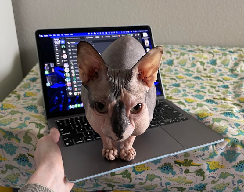 Heated Laptops & Warm Electronics