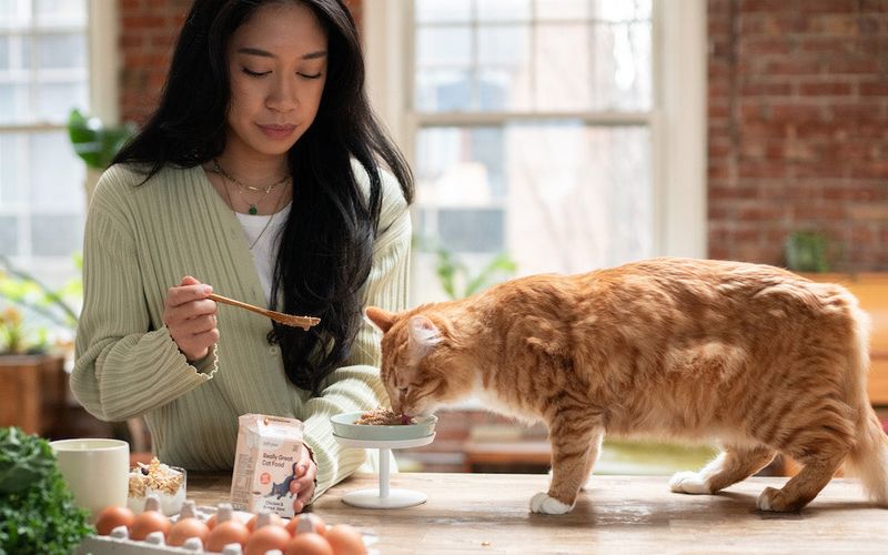 Helps Manage Hairballs
