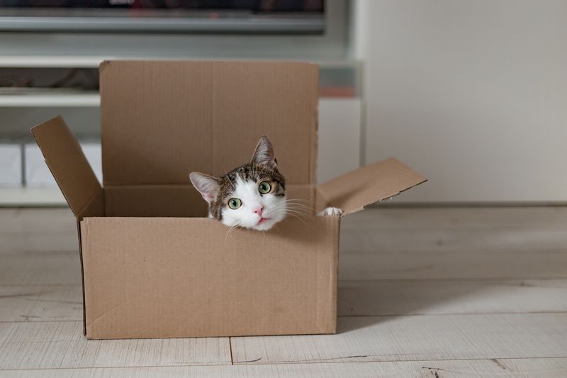 Hiding In Small Spaces