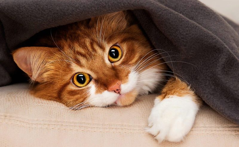 Hiding More Than Usual