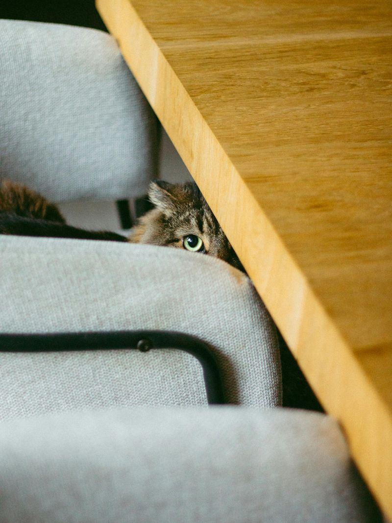 Hiding Under Furniture Shows Overwhelm