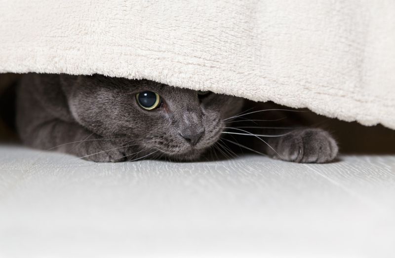 Hiding When Sick