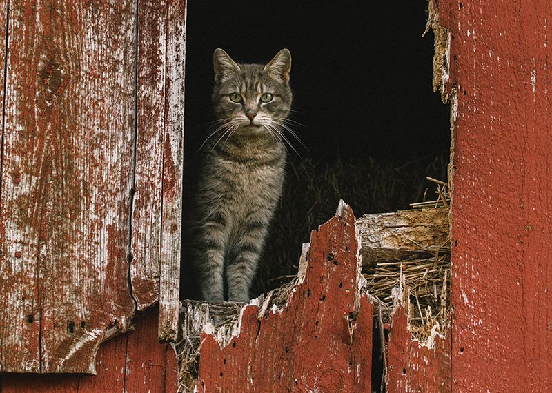 Hiding in Cool Structures
