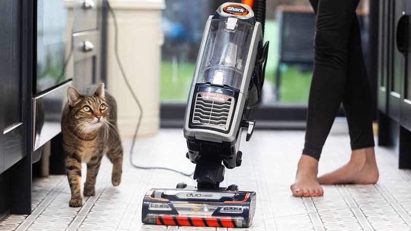I appreciate the treats, but I could really do without the vacuum monster.