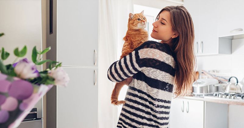 Ignoring the Cat’s Personality