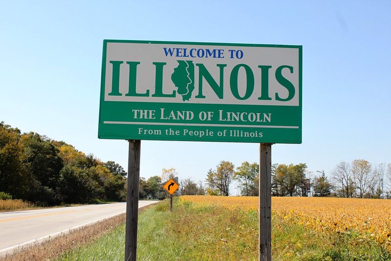 Illinois' Overwhelming Feline Population