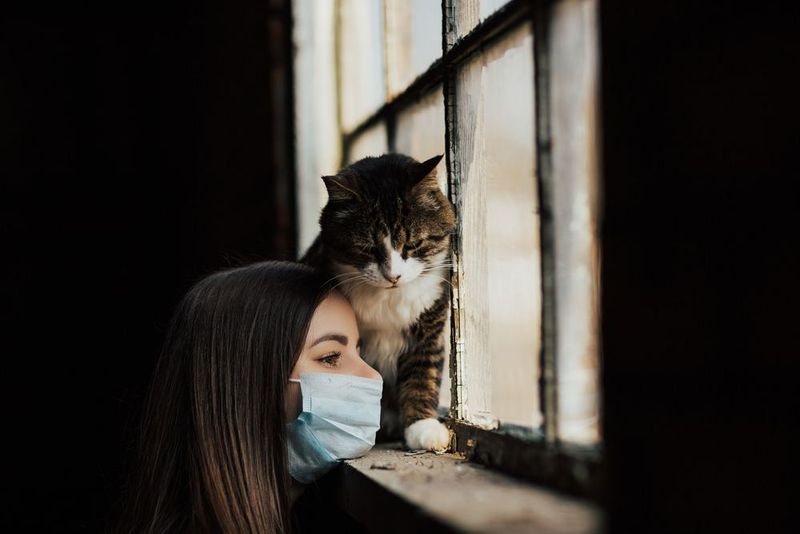 Illness in Humans