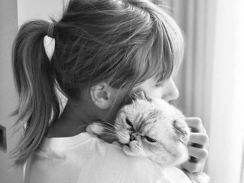Influence of Celebrity Cat Owners