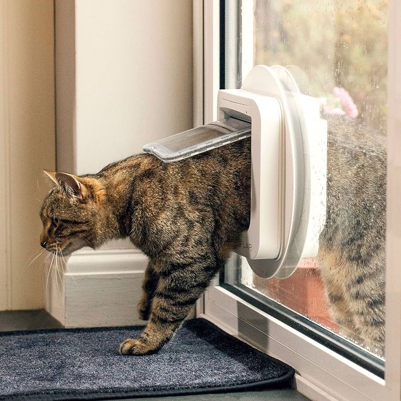 Install a Microchip-Activated Pet Door