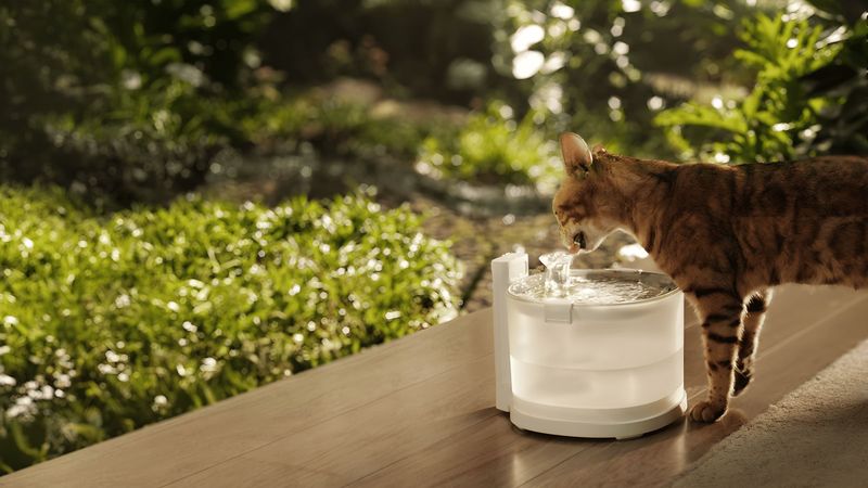 Install a Water Source