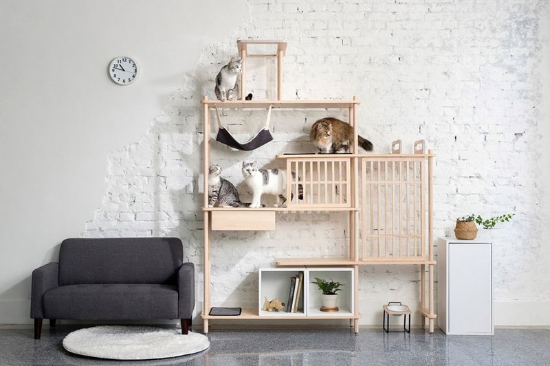Integrate Cat Spaces into Decor