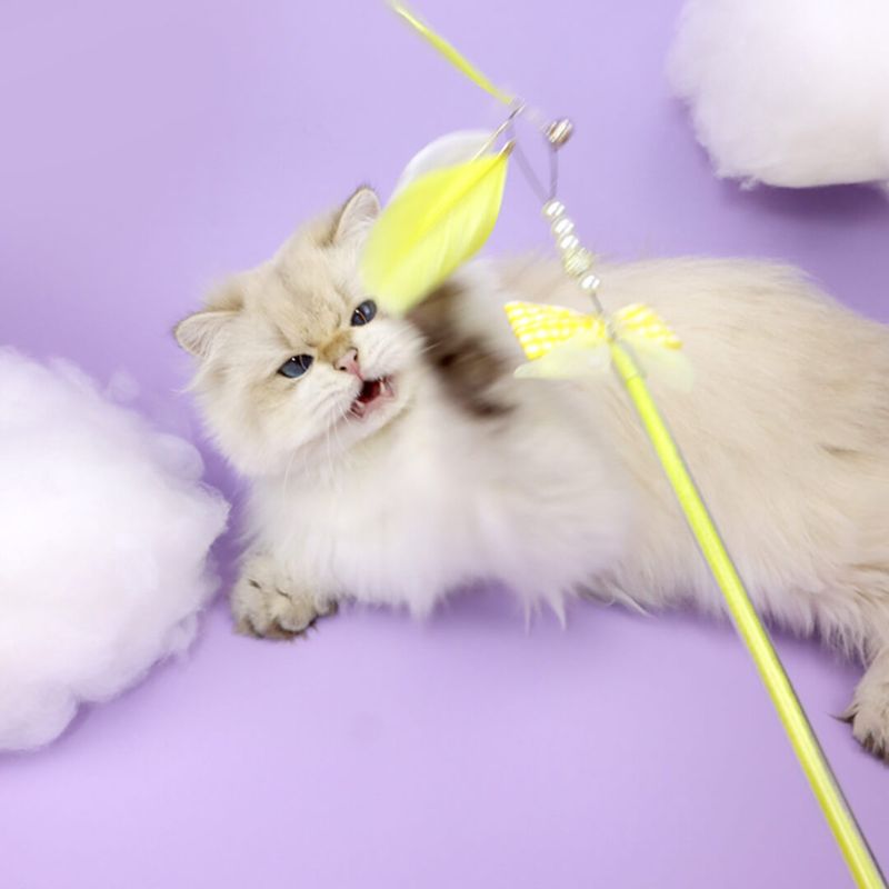Interactive Toys: Awakening Your Cat's Predatory Instincts