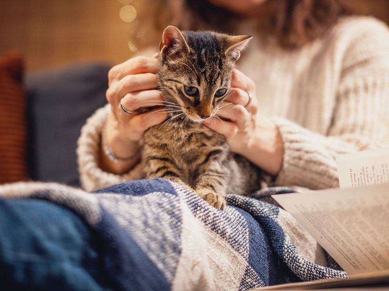 Kneading (“Making Biscuits”)