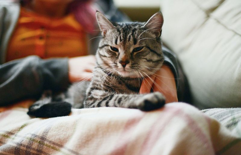 Kneading Your Lap