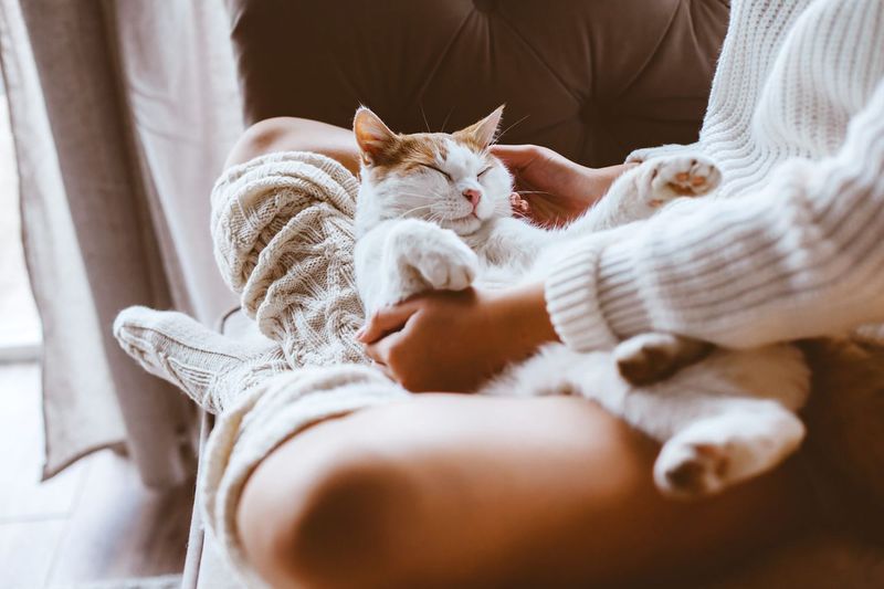 Kneading Your Lap Like Dough