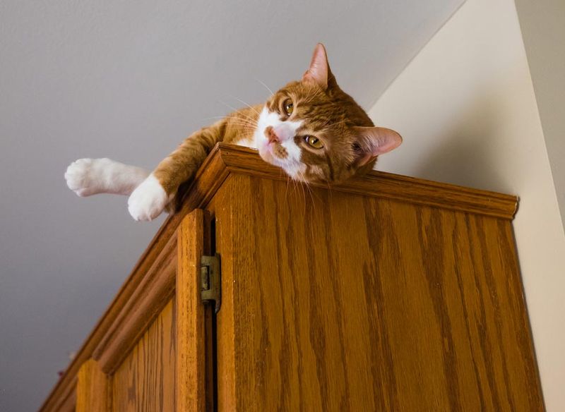 Knocking Things Over