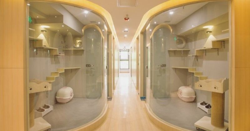 Lavish Accommodations